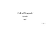 Calcul Numeric ancai/CN/curs/CN - curs 01... 4 Examen • teză scrisă de 1 oră, cu 3 sau 4 exerciţii din materia predată, ˝ cu cursurile pe mas ă˝ • teza scrisă este notată