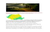 apar-romania.ro · Web view2020/10/06  · Emil Dumitru (MADR), intalnire cu legumicultorii! Se decide soarta Casei UNIREA , 6 octombrie 2020 Sindicatul Producătorilor Agricoli Olt,