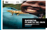 RAPORTUL PLANETA VIE 2020 - WWF...2020/09/10  · Indicele global Planeta Vie 2020 arată o scădere medie de 68% (plaja de valori: între -73% și 62% ) la populațiile monitorizate