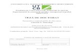TEZĂ DE DOCTORATdigilib.utcb.ro/repository/ccn/pdf/mehedintugabriela.pdf · buc bucăţi BVB Bursa de Valori București CAPEX capital expenditure - cheltuieli pentru investitii CE
