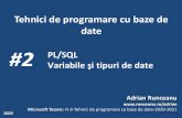 #2 PL/SQL Variabile şi tipuri de date · 2020. 10. 21. · Mediul de programare PL/SQL: ORACLE APPLICATION EXPRESS 2. Folosirea variabilelor în PL/SQL 3. Unităţile lexicale PL/SQL