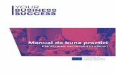 Manual de bune practici · 2021. 4. 23. · Manual de bune practici Proiectul „Your Business Success” a fost finanțat cu sprijinul Comisiei Europene. Acest document reflectă
