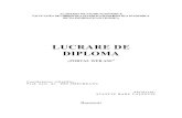 LUCRARE DE DIPLOMAdocshare04.docshare.tips/files/15691/156913287.pdf · 2017. 2. 1. · academia de studii economice facultatea de cibernetica statistica si informatica economica