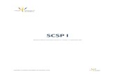 SCSP I - PsihologieTMsocpers.psihologietm.ro/announcements/SCSP_I_2014.pdf · 2014. 9. 27. · problemele psihologice actuale ale societăţii, astfel încât să poată răspunde
