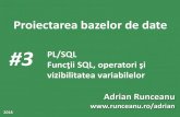 #3 PL/SQL - runceanu.ro · Functiile pentru conversiile de tipuri de date 5. Functii diverse Nu sunt disponibile in instructiunile procedurale: 1. DECODE 2. Functiile de grup (functiile