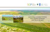 SERVICIILE ECOSISTEMICE ALE ZONEI RAMSAR „NISTRUL DE JOS” · Serviciile ecosistemice ale Zonei Ramsar „Nistrul de Jos” Fig. 1. Structura și componența serviciilor ecosistemice