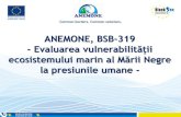 ANEMONE, BSB-319anemoneproject.eu/wp-content/uploads/2019/10/1.ANEMONE...2019/10/01  · •autoritățile publice locale •autoritățile publice naționale •organizațiile internațioanale