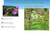 Societatea Romană de Apiterapieapiterapie.ro/.../2017/12/Newsletter-12-SRA-vara-2019.pdfanotimpuri: vara şi iarna. Vara apicolă începe în preajma echinocţiului de primăvară,