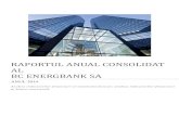 RAPORTUL ANUAL CONSOLIDAT AL BC ENERGBANK SAro.energbank.com/data/reports/2014/RAPORT_ANUAL_CONSOLID... · 2015. 8. 3. · BC ENERGBANK SA NOTE EXPLICATIVE LA SITUAŢIILE FINANCIARE