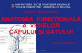 Catedra de anatomie a omului ANATOMIA FUNCŢIONALĂ · 2020. 5. 14. · Venele capului și gâtului Se descriu: sinus sagittalis superior, sinus sagittalis inferior, sinus rectus,