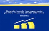 Bugete locale transparente pentru municipalități eficiente