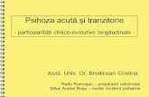 Psihoza acută și tranzitorie - Psihiatrie Timisoara