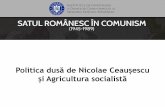 Politica dusă Nicolae Ceaușescu și Agricultura socialistă