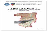 RAPORT DE ACTIVITATE - vl.prefectura.mai.gov.ro