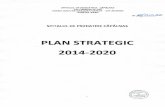 PLAN STRATEGIC 2014-2020