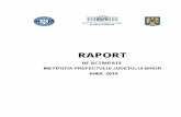 RAPORT IP 2019 final - Guvernul Romaniei