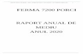 RAPORT ANUAL DE MEDIU ANUL 2020