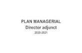 PLAN MANAGERIAL Director adjunct