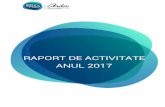 RAPORT DE ACTIVITATE ANUL 2017 - ARDOR