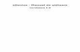 eDevize - Manual de utilizare - versiunea 1