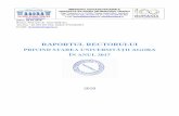 Raportul rectorului 2013 - Dzitac