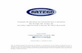Intercapital Invest SA - Artego