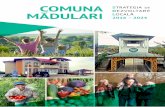 Strategia de dezvoltare locală a Comunei Mădulari pentru ...