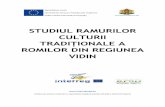 TRADIȚIONALE A