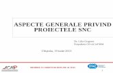 ASPECTE GENERALE PRIVIND PROIECTELE SNC