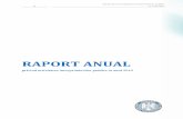 Raport privind activitatea Întreprinderilor Publice 2019