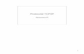 Protocolul TCP/IP - Laboratorul de Microunde si ...