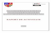 RAPORT DE ACTIVITATE 2013 - Directia Generala de …
