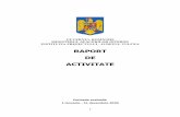 RAPORT DE ACTIVITATE - Guvernul Romaniei