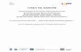CAIET DE SARCINI - isj2.educv.ro