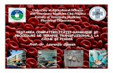 Veterinary Transfusion - Synevovet