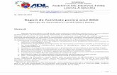 Raport de Activitate pentru anul 2016 - adlbacau.ro