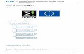Tipuri de proiecte EUREKA - Guvernul Romaniei