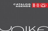 CATALOG 2020 2021 AGende - Lexus Publicitate
