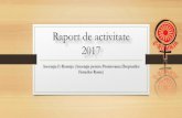 Raport de activitate 2017 - e-romnja.ro