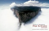 Flor & Erato - viXra.org
