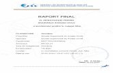 RAPORT FINAL - reports.aviation-safety.net