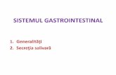 SISTEMUL GASTROINTESTINAL