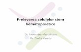 Prelevarea celulelor stem hematopoietice - RNDVCSH