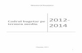 Cadrul bugetar pe 2014 - gov.md