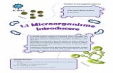 Microbo Mania este vorba - e-Bug