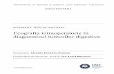 Ecografia intraoperatorie în diagnosticul tumorilor digestive