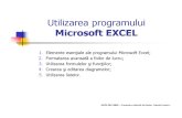 Utilizarea Programului Microsoft EXCEL