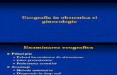 Ecografia. TeratogenezaNew Microsoft PowerPoint Presentation