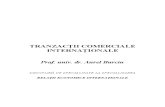 Tranzactii Comerciale Internationale
