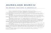 Aurelian Burcu-In Marea Trecere a Gandului 05